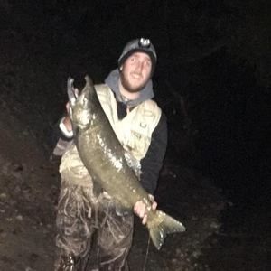 Meet your Posher, Tyler